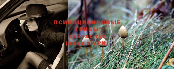 ешки Алзамай